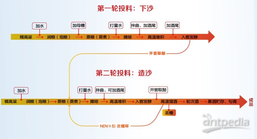 2024香港资料大全免费,全面贯彻解释落实,专业版240.303