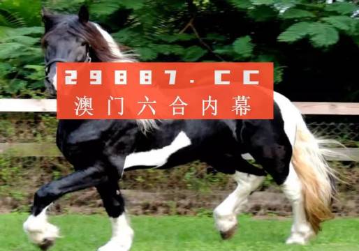 澳门今晚必开一肖一特,词语释义解释落实,高效版200.351