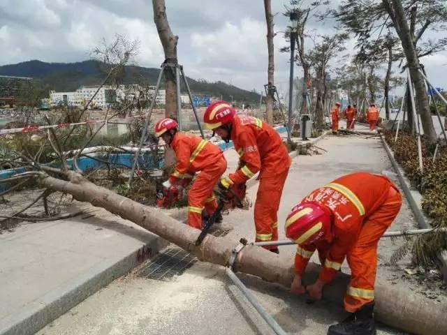 简报 第31页